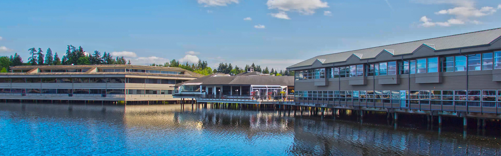 Massage and spa services All Star Lake Spa Bellevue WA