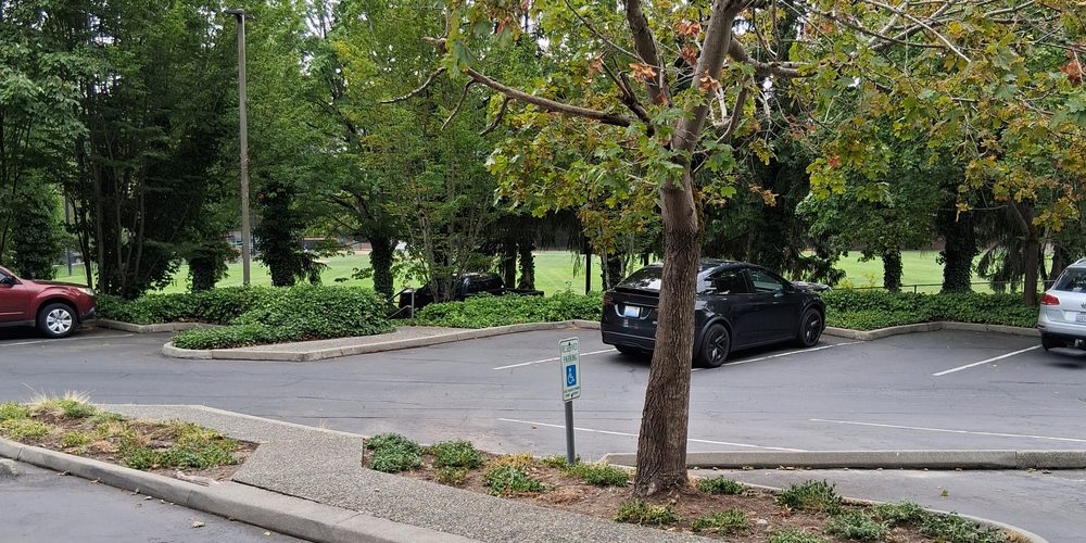 Free on-site parking lot at Bellewood Place, Bellevue WA, with accessible stalls